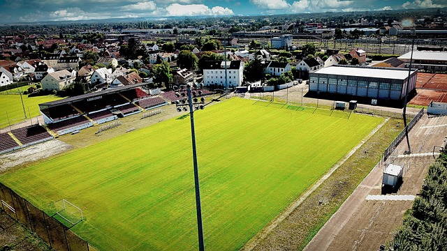 中表现出色 中表现出色