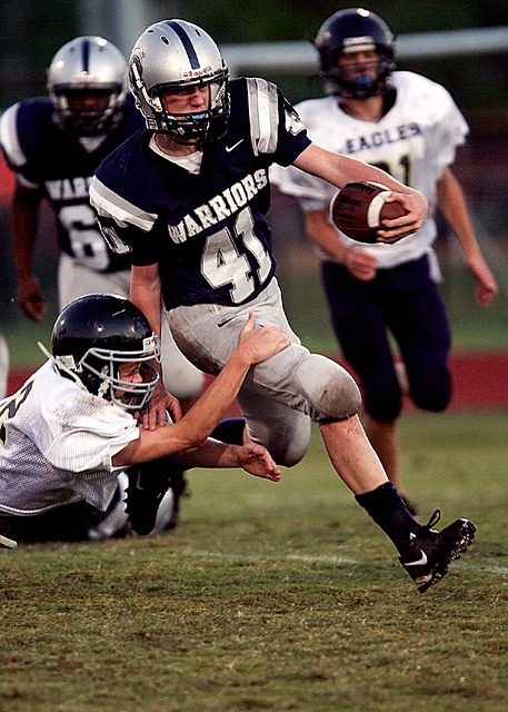 球迷和媒体 球迷和媒体