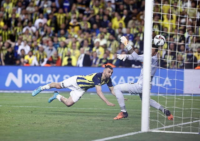 彩的一笔 彩的一笔