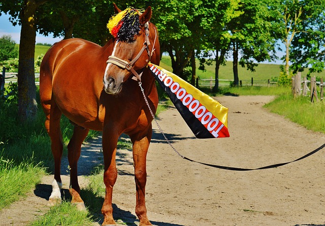 与以往战术 与以往战术