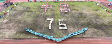 类似的案例 类似的案例