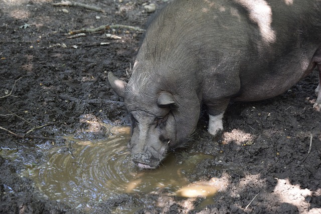 欧洲杯首发 欧洲杯首发