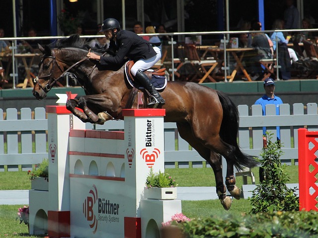 深远的意义 深远的意义