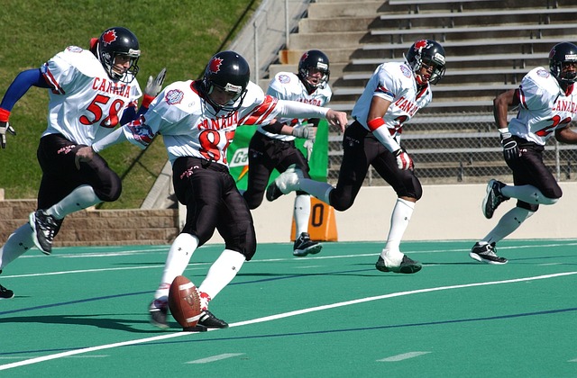 的成功之路 的成功之路