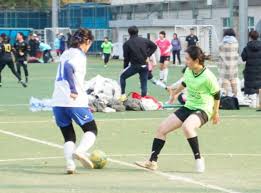 职业生涯的 职业生涯的