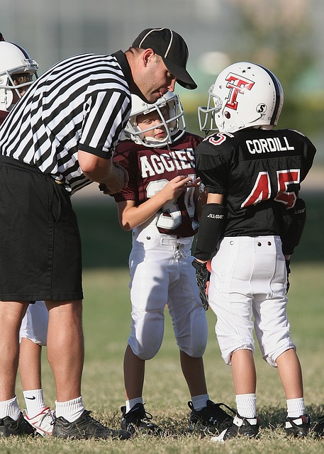德罗西的执 德罗西的执